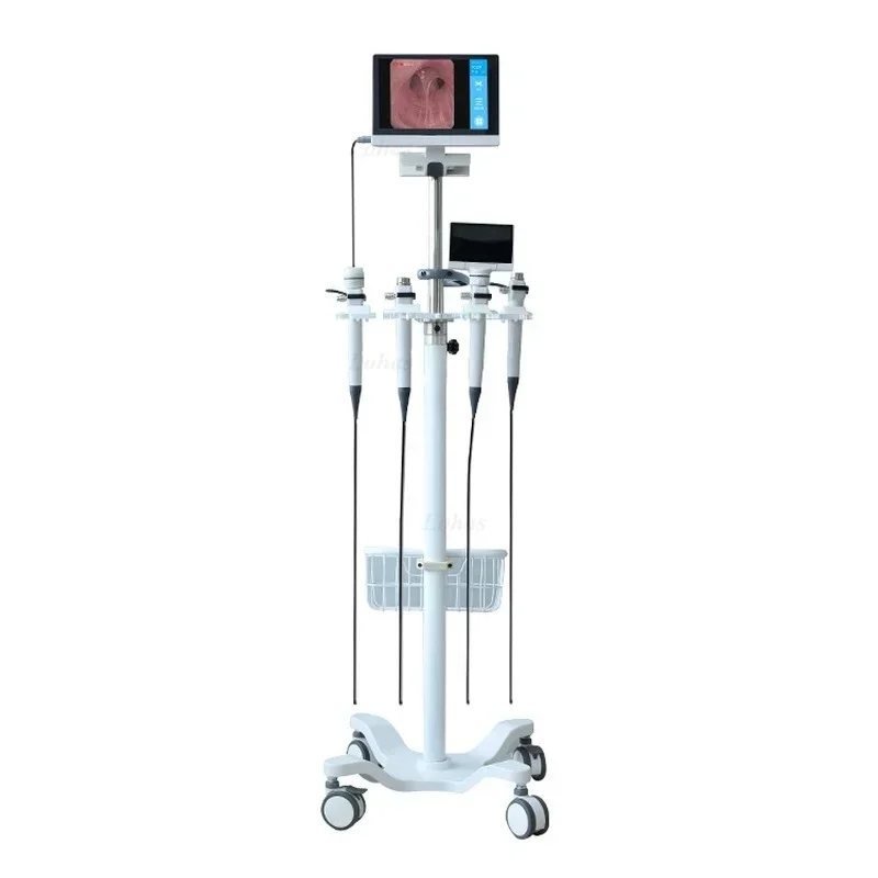LHBF Por HD Video  Flexible Br - Medical Lab Video ulasan dan harga